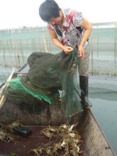 ��̖�K��̫�����lз3.0ĸ4.0��ʮֻ����Y���Ԯa���N���r���з