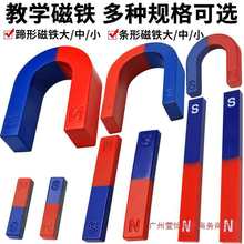 �l�δ��F�R����U�͈A�����Fʯ��ʾ��̖10cmU85��ͯС�W�ƌW�����