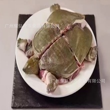 ���ɼ����B���~Ҏ��s1200��/ֻ*8ֻ/���r��̎���Ƀ���Ʒ�i�rˮ�~