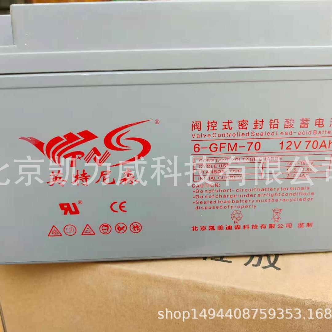 英特尼森蓄电池6-GFM-120铅酸免维护12v120AhUPS电源储能电池
