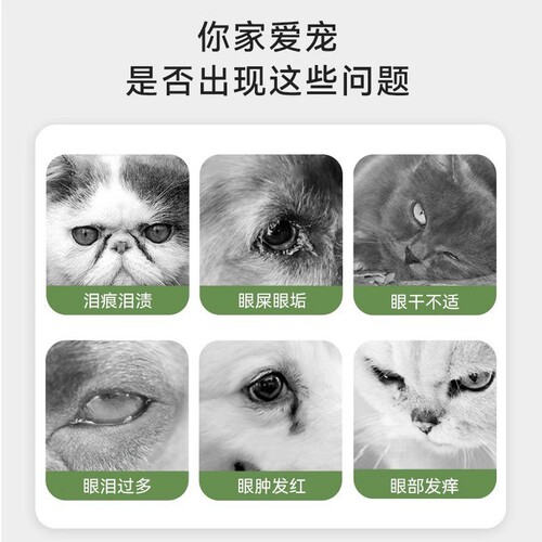 Parry Wet Wipes 8-piece Pack Fold-Ear Garfield Pet Cat Eye Cleaning and Deodorizing Cat Tears Cleaning and Eye Feces Supplies