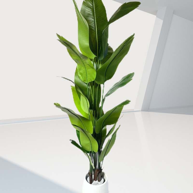 天国の鳥は緑を植えてハイエンドの軽豪華な装飾木を植えます。|undefined