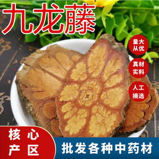 ��������ș��500g����Ʒ�V��÷����ǵ�Ұ���廨Ѫ���������