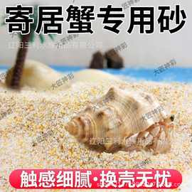 免洗海沙寄居蟹专用沙水草石乌龟铺底纯鱼缸底砂螃蟹底沙天然流沙
