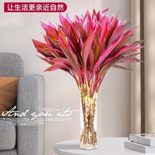 ���F��ˮ��ֲ�����\����֗U�����҃ȾGֲ�lؔ��ˮ�B�͏d��ؔ����