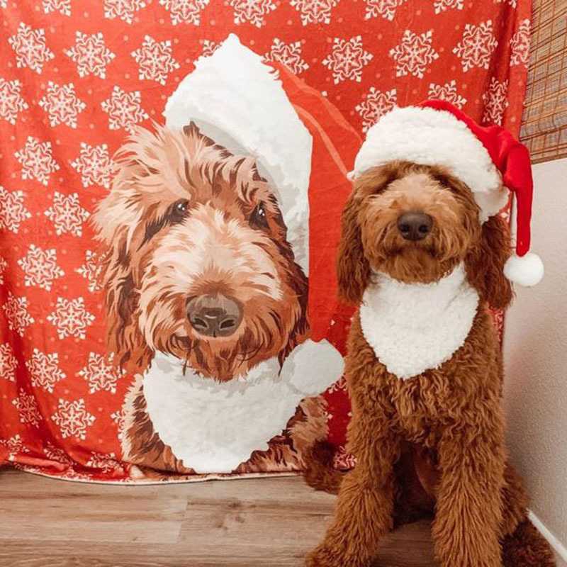 ペット布団フランネル毛布写真個性プレゼント犬保温毛布猫秋冬睡眠用マット|undefined