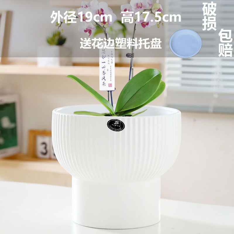 Large pure white diamond pattern (comes with tray)