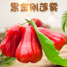 代用/养生茶;花果茶;西式糕点