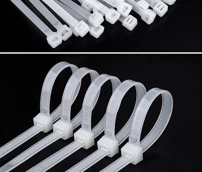 微信图片_20230812080931_2