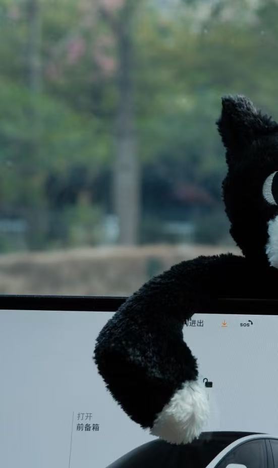 コレクション1;