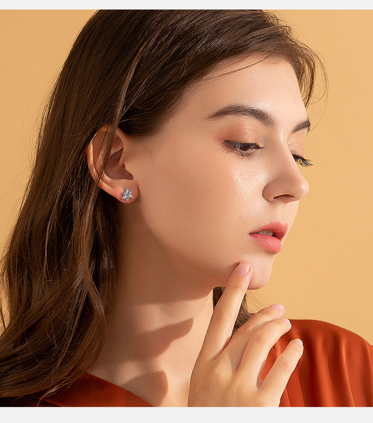 2021 New High-Grade Ear Bone Nail Micro-Set Earring Ins Net Red Joker Earrings Exquisite Earrings Wholesale detail image 10