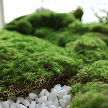 ����Gֲ�쾰�o�Ļ����Zůʯ���ʯ��䁵�ͥԺ���^̦�\�ݲ����b�