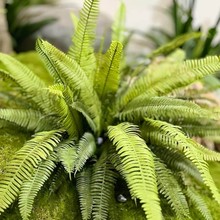 ����ާ�ֲ���R��ľ�쾰�Gֲ�ٲ�˹�ݔ[�O�W�t�Ĕz���߼Ҿ��b�