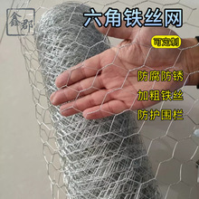 �S��ֱ�l�ɶ����F�z�W�߲ˈ@���o�����Bֳ�������ǔQ���W�F�z�W