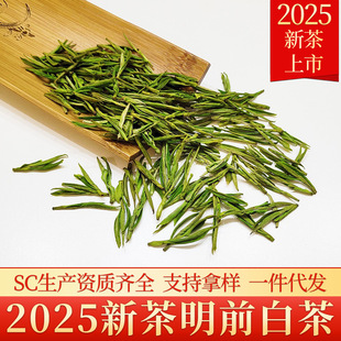��ǰ�ײ�����朽�2026�²����к����P�Ͱײ��~ë���;G��ɢ�b���l