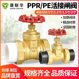 �S�E�S�~����PPR�p��ӽ�ֹ�yPE�l�y�_�P4��6��1���ԁ�ˮ���y�T��