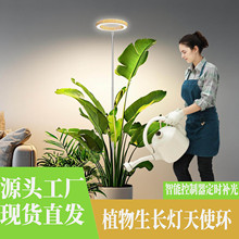 LEDֲ����lȫ���V�������L���҃Ȼ������������a���