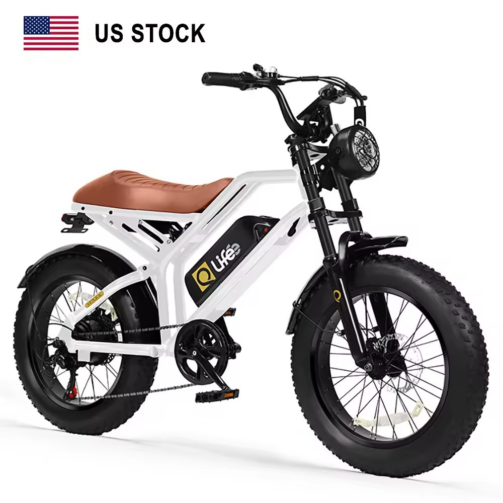 High-power 1500W 48V 13Ah fat-tire electric bicycle, Class 3 light motorcycle, suitable for youth