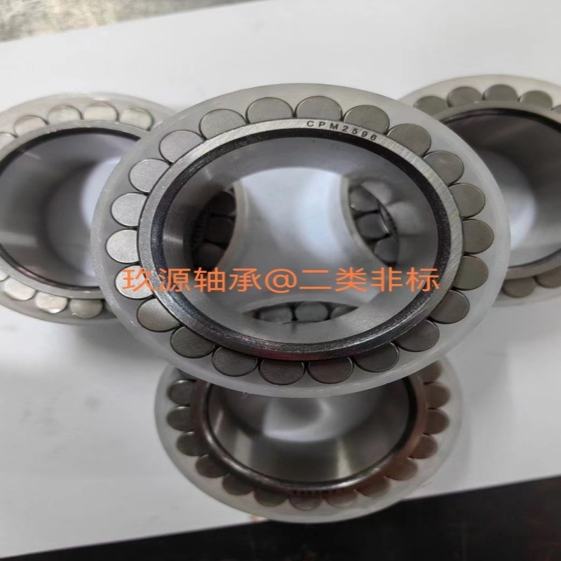CPM2492 CPM2609 行星减速机齿轮轴承无外圈满装滚子轴承非标轴承