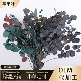 苹果叶永生花 圆叶尤加利 铜钱按干花 插花搭配装饰 DIY压花材料