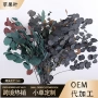 压花圆叶苹果铜钱永生花