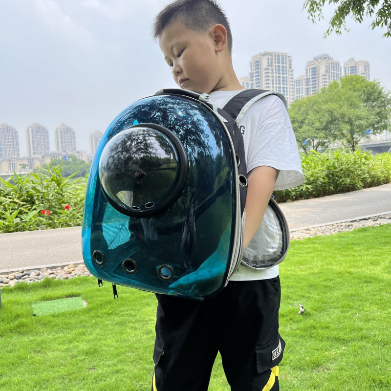 투명하고 차광되는 파란색 쉘(후드가 있는 통기성 모델)