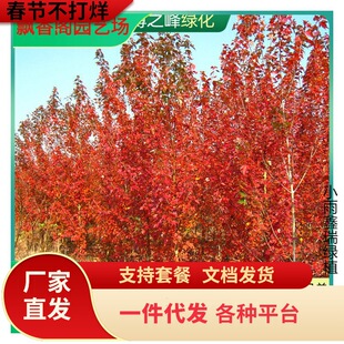 һ�����l�����t������@���е��G���L���侰�^�쾰�^�~�ձ��t����