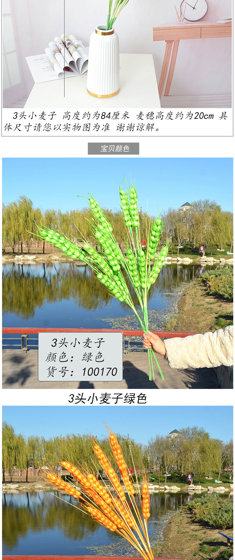 3头小麦子_02.jpg?x-oss-process=image/format,png
