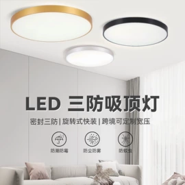 吸顶灯;室内壁灯