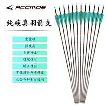 ACC�t��4���������̼�� �ͺϷ����������֧������ďS��ֱ�N