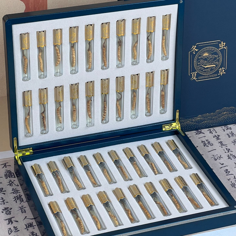 Dongyang Artificially Cultivated Grade 1 Freeze-Dried Insect Body Full Hand Gift Traditional Health Supplement Box of Cordyceps