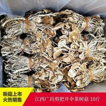 ���r��н�������V���_���乽��؛���_���ѿ����㹽��r��10���b