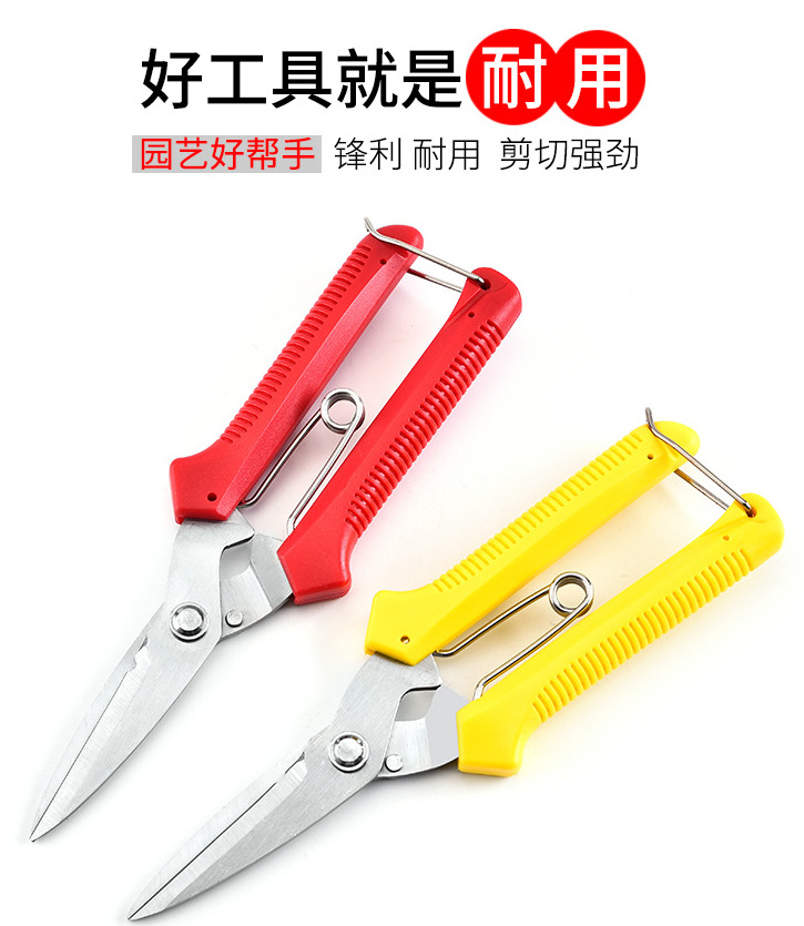 微信图片_20210609094008