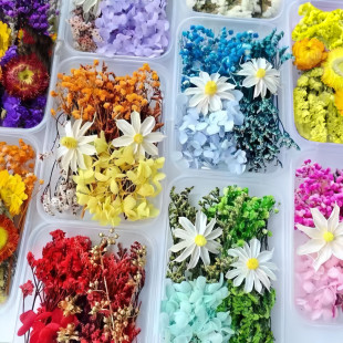 ��DIY���С��ɻ���������޹Ϟ�TDIY���ă�ͯ�ɻ����F�Ȳ��ϰ���