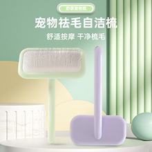 ӱëëṷ̩СȮël坍l