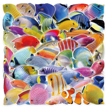 53��ɺ���~��N���Ꭷ��ɫ͸��PET��ˮDIY�֙C�������bS�����l