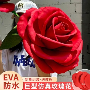 ���ͳ���õ�廨���滨�tɫ����eva��ĭ�󻨻�c�b����w��ص���