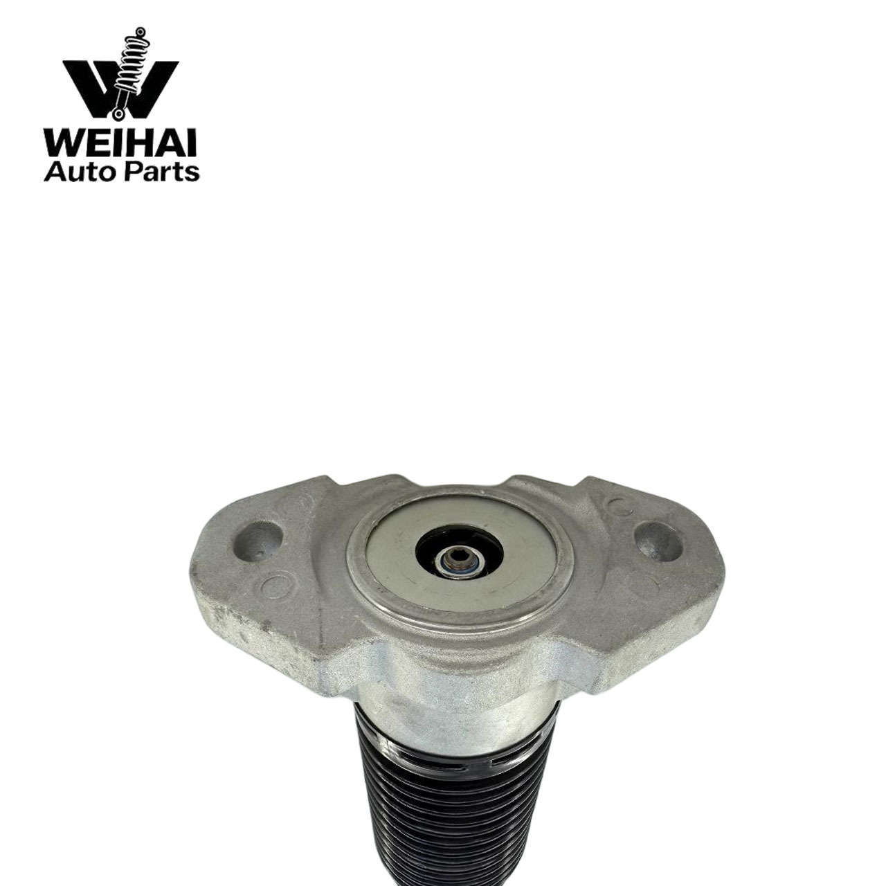 Mercedes-Benz 167 Standard Rear Assembly Shock Absorber Mercedes-Benz Gle Model Accessories Suspension Adjustable 1673205903