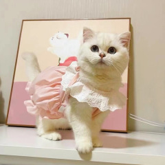 夏のペット猫服かわいいインプリンセススタイルスカート夏薄い抗脱毛子猫と犬のドレス