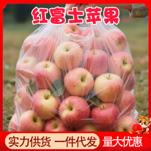 正宗膜袋红富士苹果9斤整箱当季新鲜脆甜水果10批发包邮5陕西山西