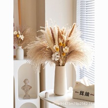 ��β���JȔ�ɻ������߼����滨�Ӽ����P�͏d�[�O�b���Ȼ�L��ֲ��