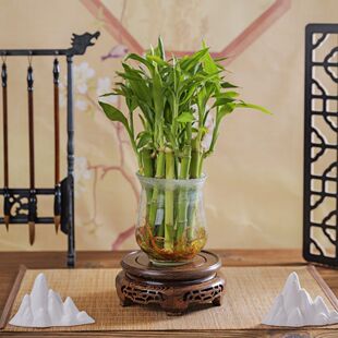 ���㸻�F���_�\������Gֲ�ļ����Bˮ��ֲ��͏d�҃�����ȩ�k����