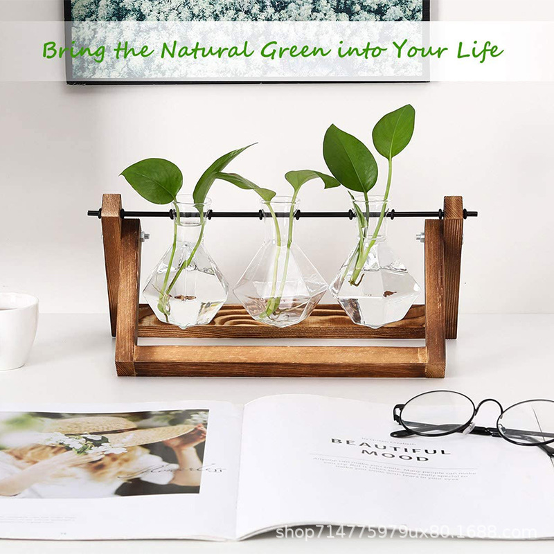 创意水培木质花架植物玻璃容器水养绿萝插花瓶家庭桌面办公室装饰