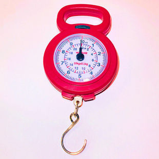 Portable Spring Scale for Home Use, Multifunctional 10kg Grocery Shopping Scale, Pocket Scale, Mini Courier Scale 10kg