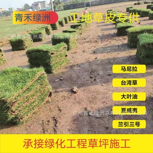 ��Ƥ������ƺ����R�����Gɫ��ƺ�؉|˽�ˎ������ߠ����ґ���䁉|