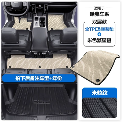 Modelə uyğun ayaqaltı Plus, Xiaolong Max, F5, F7X - please-leave-a-message-or-note-the-model-year-when-placing-an-order-rice-grain-pattern-tpe-door-sill-mat-beige-starry-blanket-tpe-trunk-mat