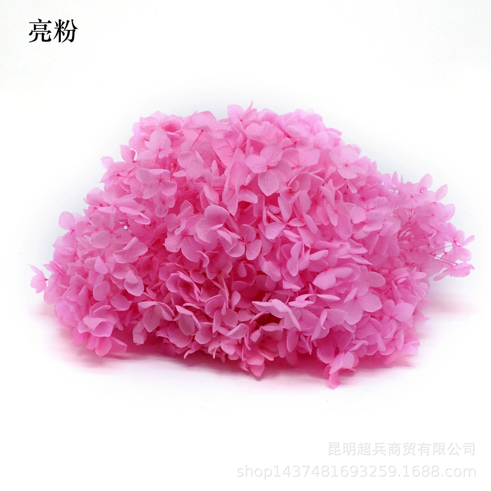[Вечная Life Flower Hydrangea] Анна Градиентный цвет Лист Hydramid Книга цветов оптом DIY цветочная коробка материал для просмотра