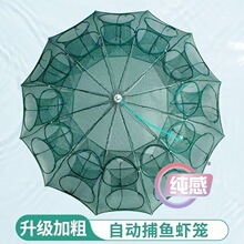 �~�r�\�~�W�Ԅӂ㲶�~�W�~�\���ۯB�O�W���~�з�S�X���q���r����