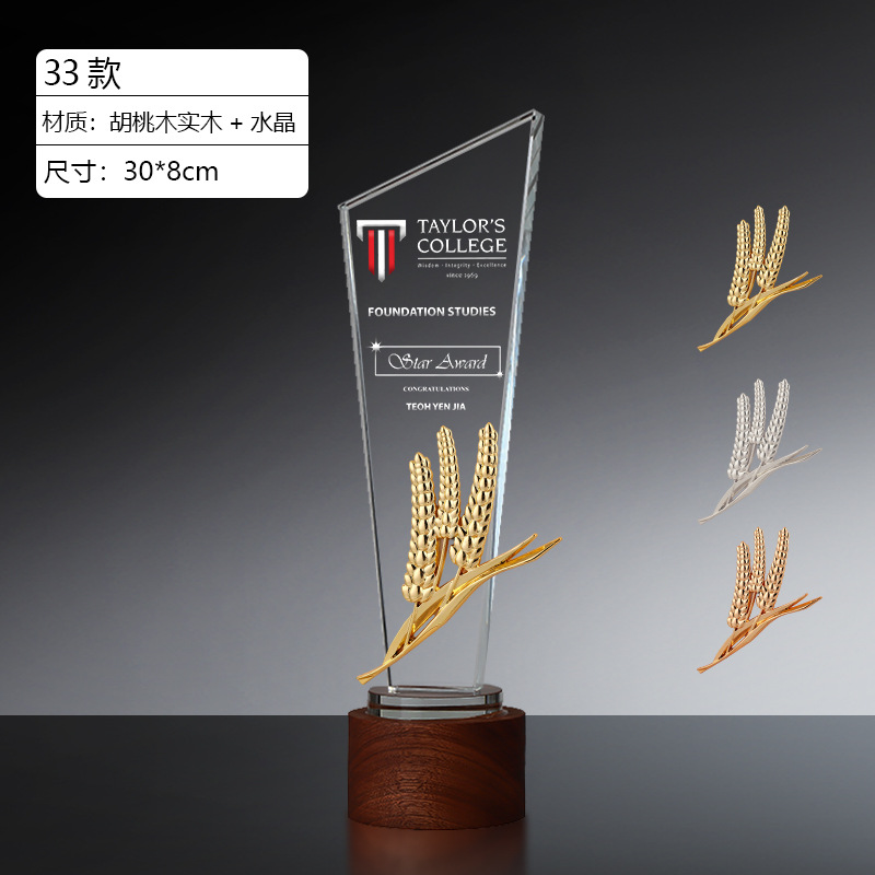 Trofeo de Cristal Personalizado de Cristal Blanco y Nogal para Premios image 55