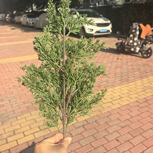 �����L�͏d���������Ҵ��^�ڟ��鲼�OӋ����͹����޾Ƶ��ڟ�